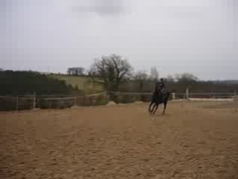 Cours de saut avec Lysa