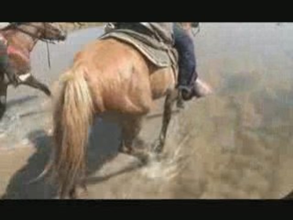A cheval