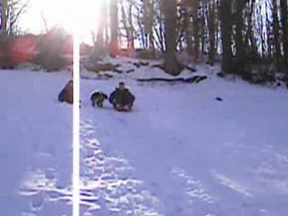 luge a cezay 25