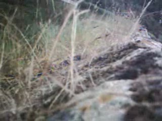 07-trail suivi passage délicat