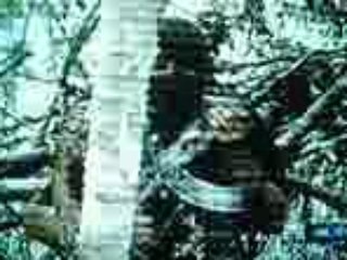 remanentes de sendero luminoso piden "salida política"