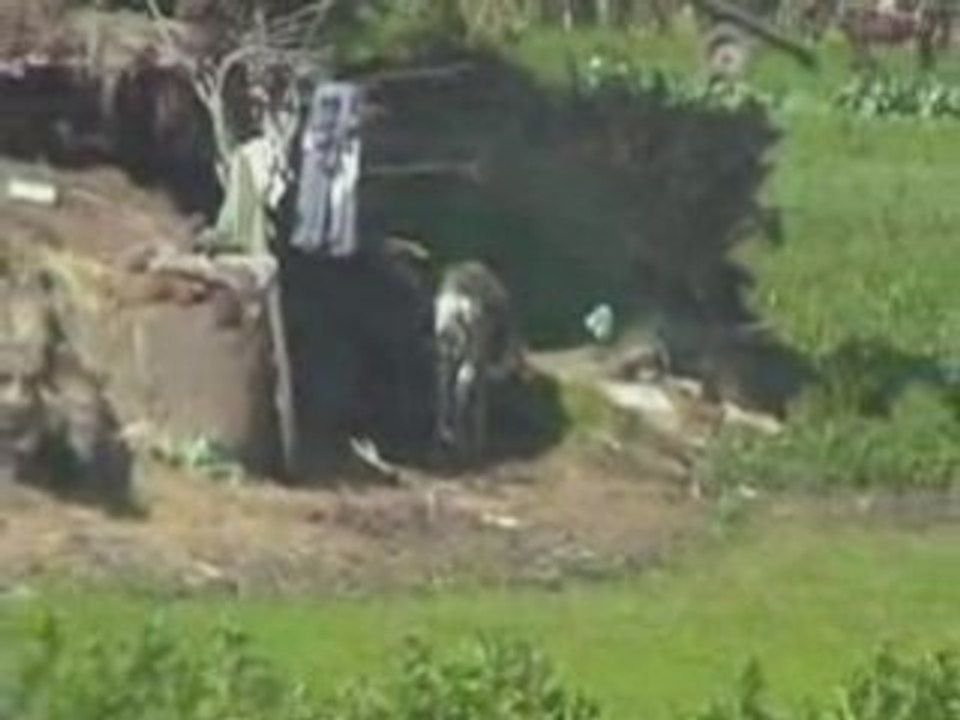 Alexandrie - Tanis -- Egypte 25