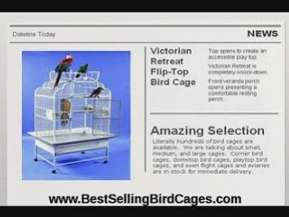 Parrot Cages and Interior Design