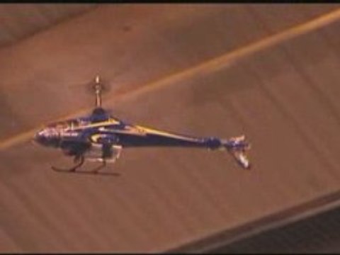 Helicopteres e-sky Lama moteurs xtreme