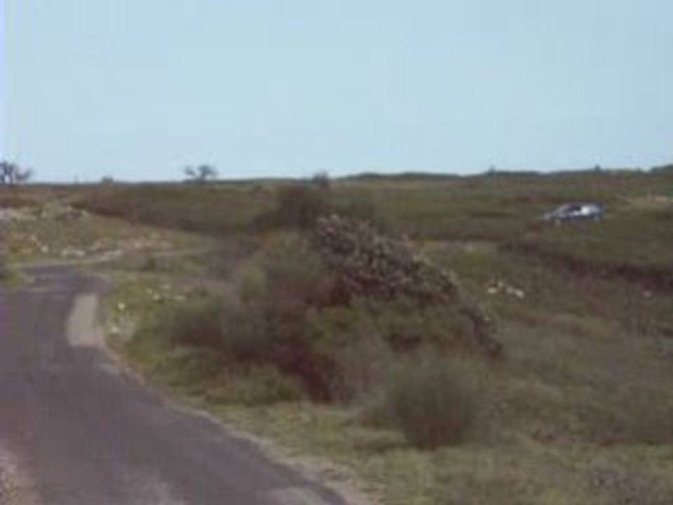 clio williams buzz34