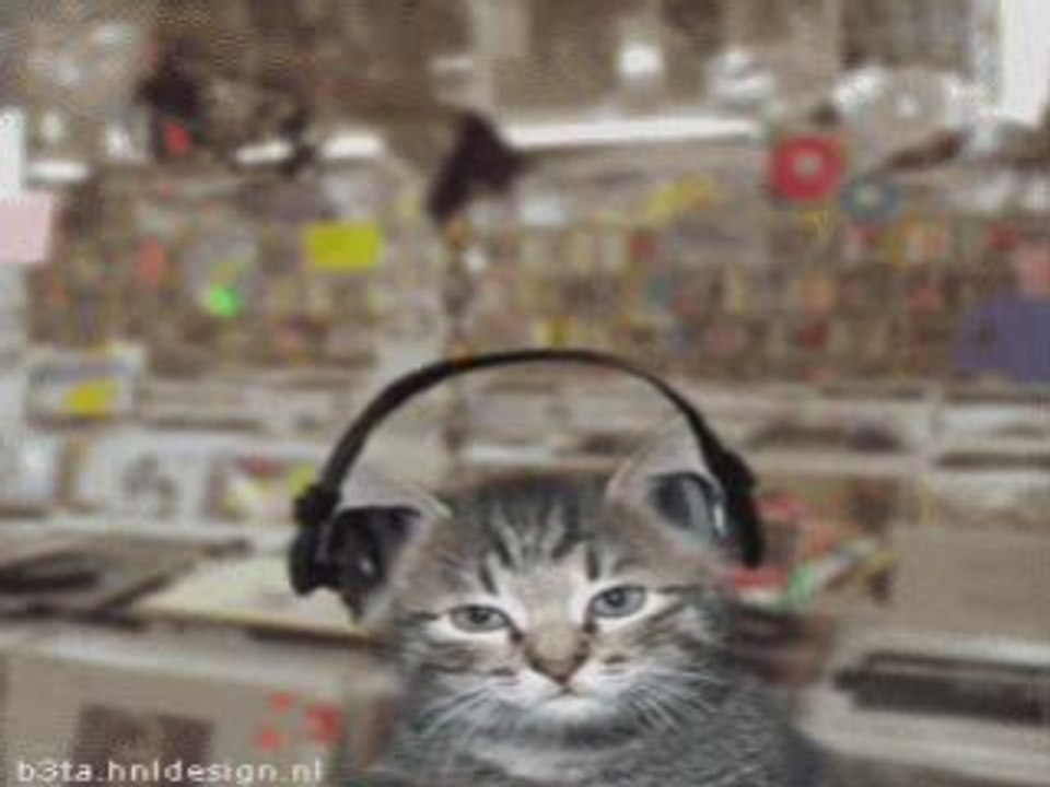 dj cat Dj kediler very  www.sensizalem.net