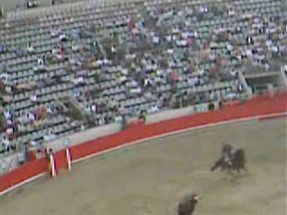 LA CORRIDA DI BARCELLONA