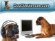 Boxer Dog Breed - Dog Obediences