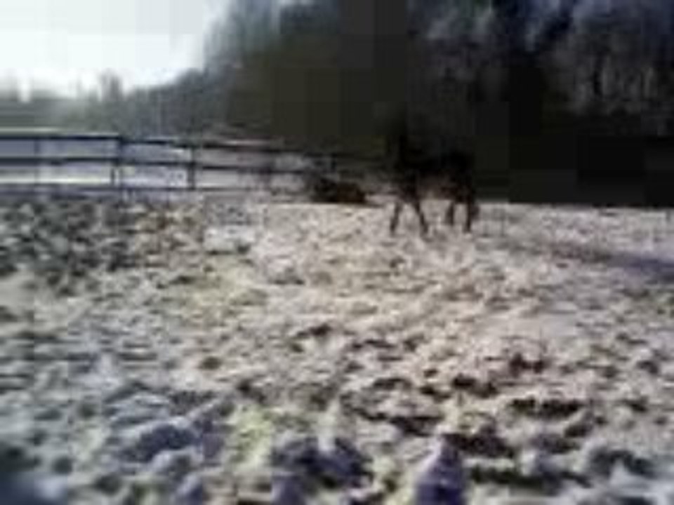 Vidéo-0005