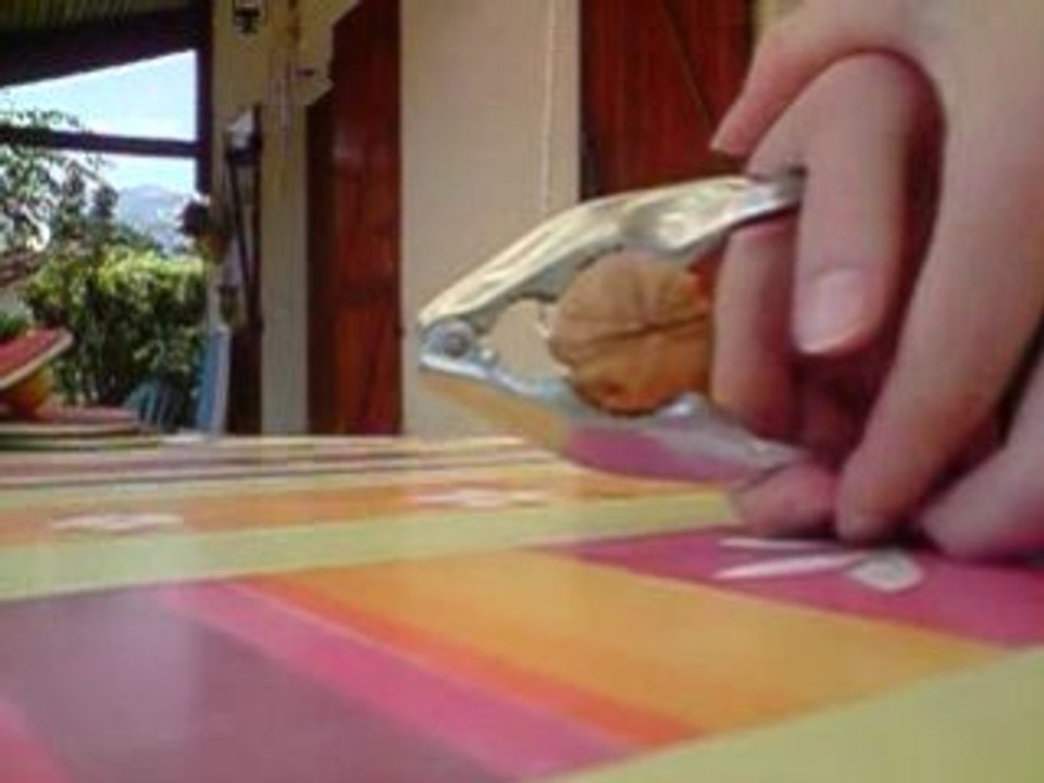 Cassage de noix Slowmotion LG Viewty