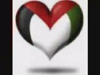 *** Palestine 8 : la terre parle arabe *** du 1 au 8 mars