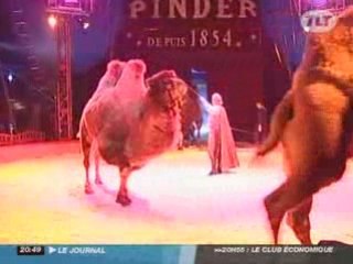 Le cirque Pinder à Toulouse