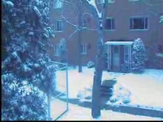 oumguil mustapha   l3fou ardiwfou  artntnhdou  imaygan amazi