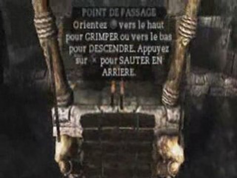 Tomb raider: Les cavernes