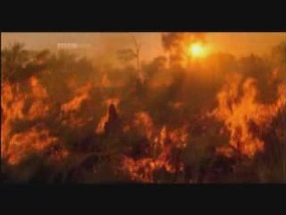 Melting Ice and Halting of Ocean Currents