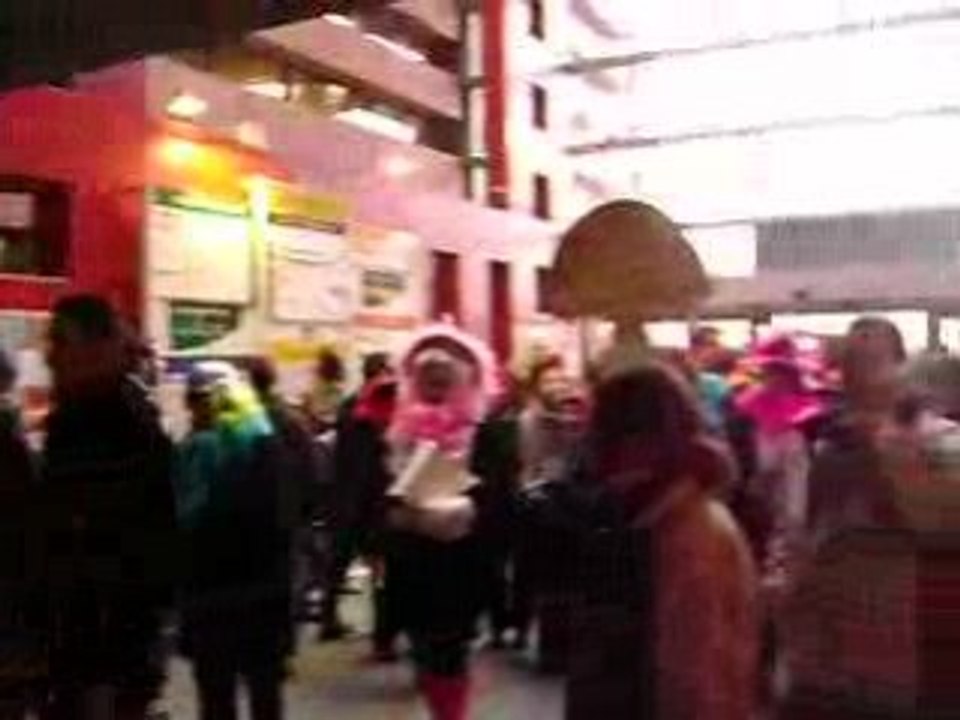 Manifestation carnavalesque ULCO dunkerque 18 février 2009