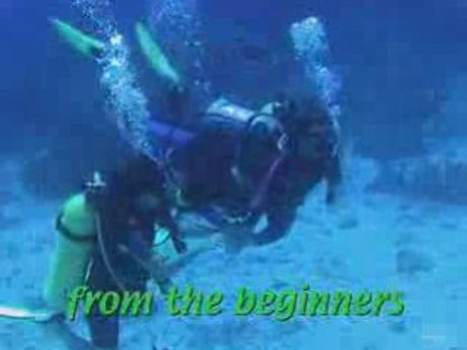 Diving Similan Islands