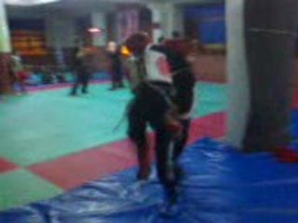 Hatice murak wushu1
