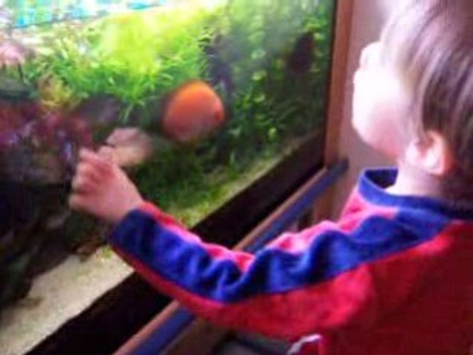 Les premiers pas en aqua 002