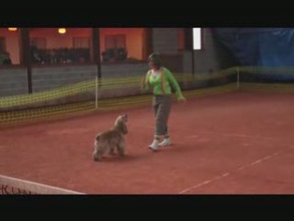 Julie et toupy 2e passage