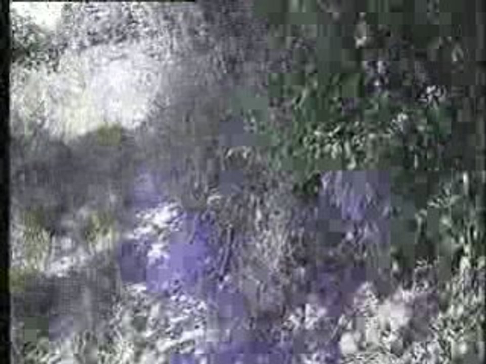 HSB501
