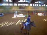 Concour haras du pin amandine