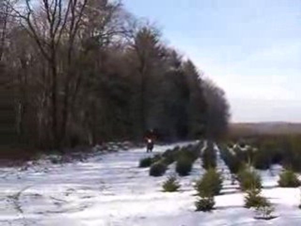 C'est pas beau la neige