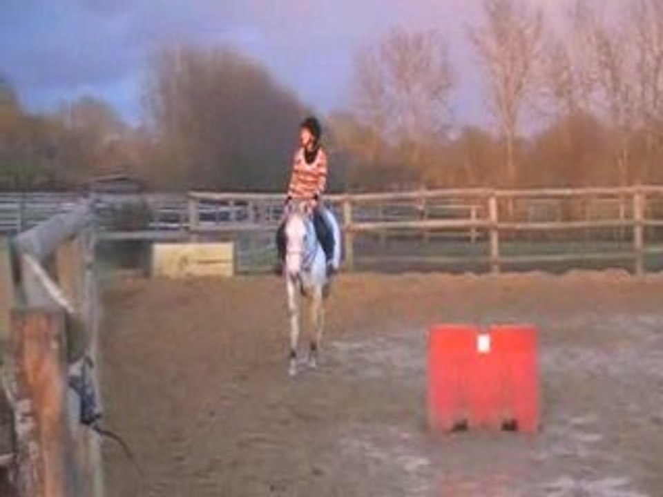 Au galop en licol étho.