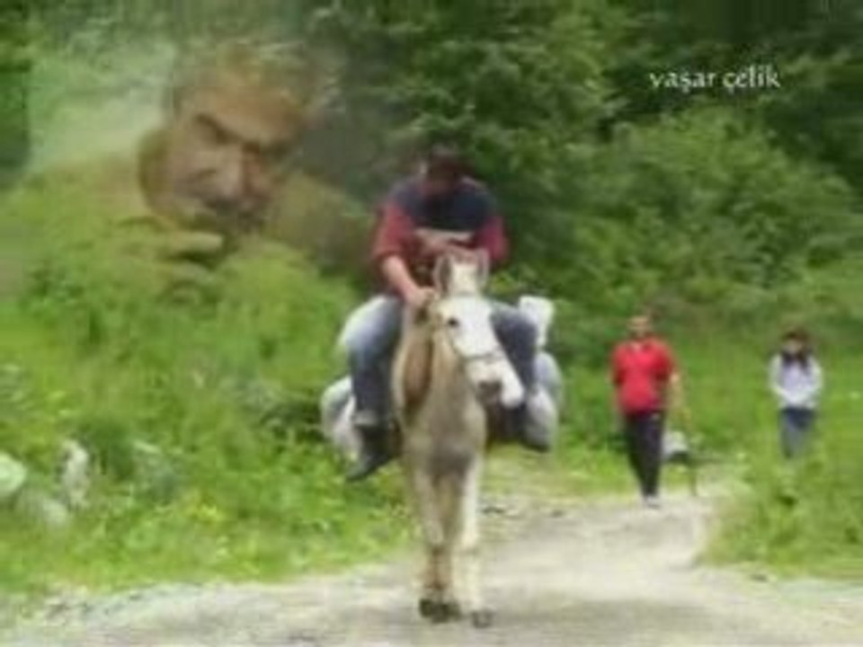 Yaşar çelik - çamlıhemşinden selam-şiir-kavrun.tr.gg