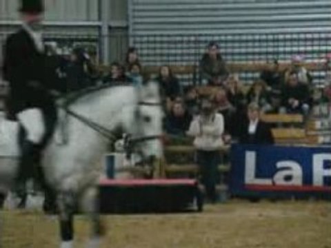 Chevaux dresssage avignon salon du cheval