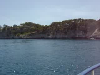 Cassis 132