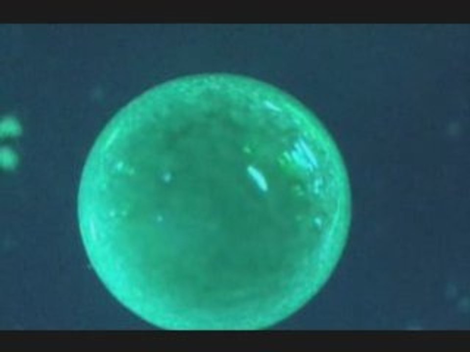 Les mille vertus de l'eau de mer Quinton