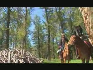 Balade dans le bois