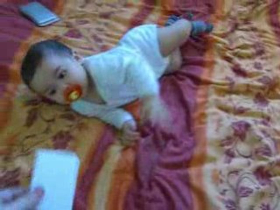 4pattes-0602