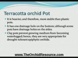 Learn What Kinds Of Orchid Pots To Use For Orchids
