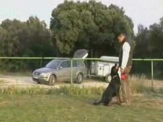 Burning des Princes d'Aragone RCI 01