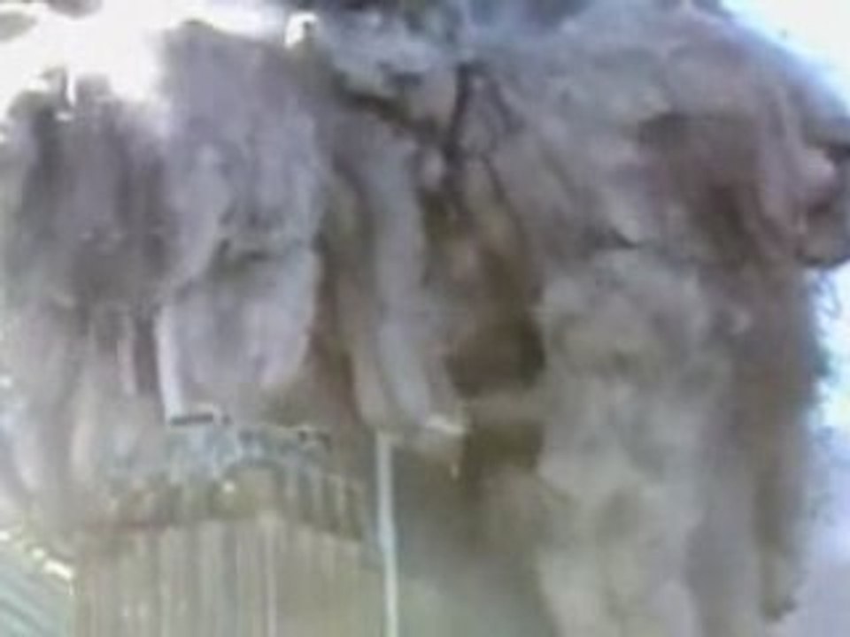 11 Septembre 2001 - Analyse de l'Effondrement du WTC1