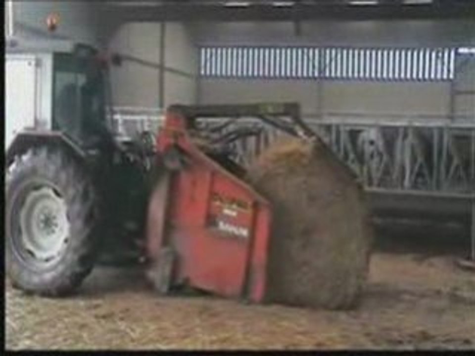 Paillage des vaches