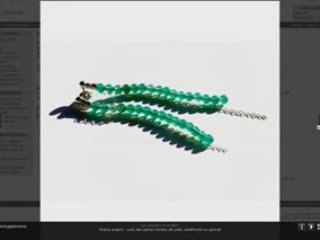 PhotoSupplements - Display full screen pictures on a website