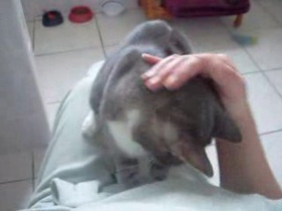 Nuage joue avec l'appareil photo