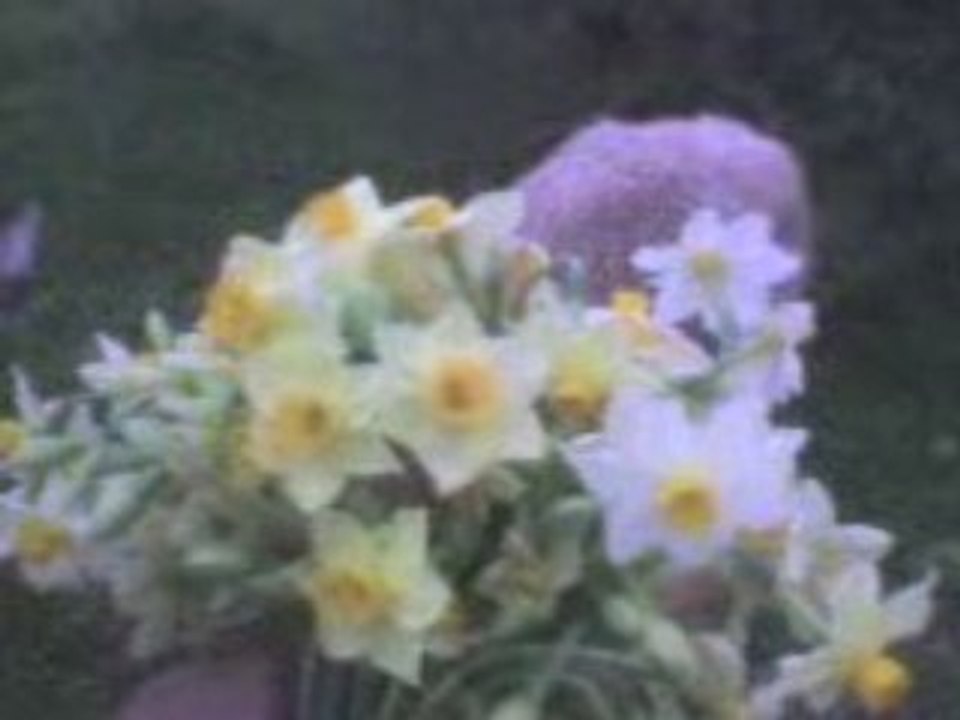 le printemps en kabylie