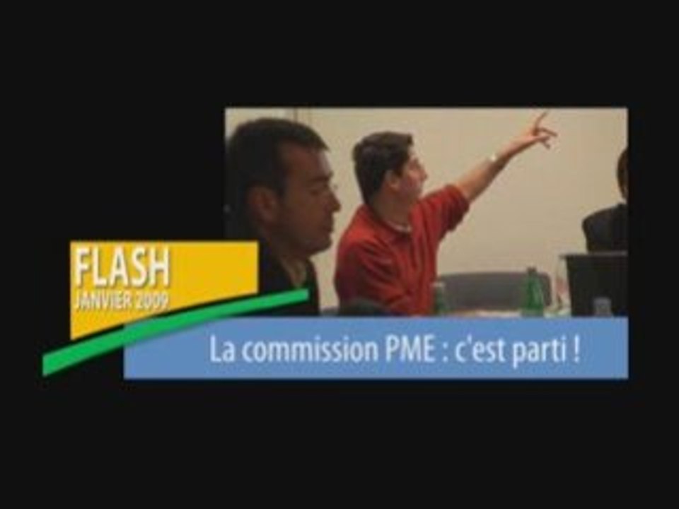 Flash Info janvier 2009 Telecom Valley