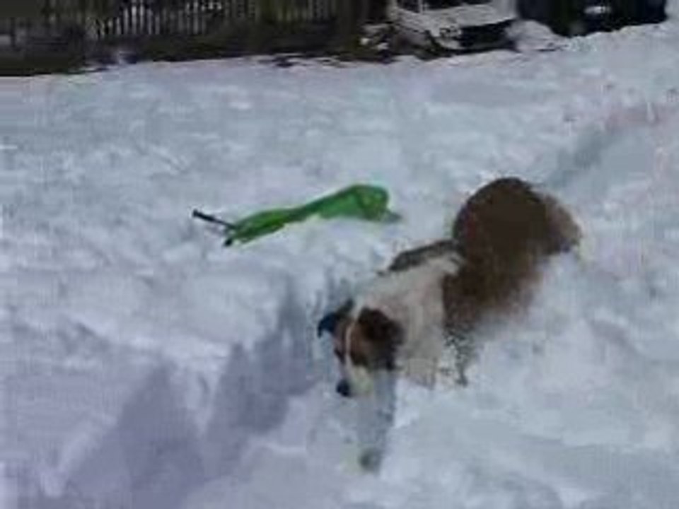 Ski 02-09 Jim luge avec Belle