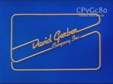 David Gerber Company, Inc. (1980)
