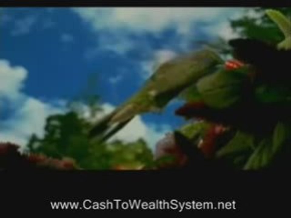 Be Happy And Work for Yourself