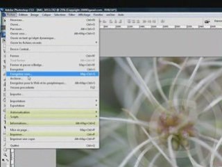 Vidéo Tutoriel n°10 : Filigrane et Copyright