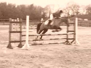 Guilers 25 janvier 2009 - Iléna