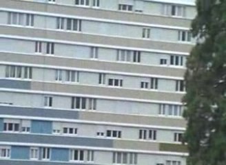 Les dimanches matins court