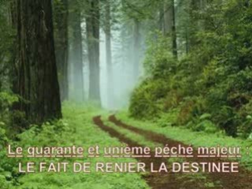 70 PECHES A SURVEILLE DE PRES STP