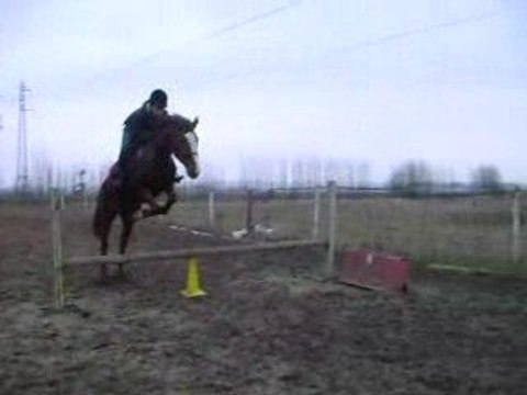 Seance de saut cheval